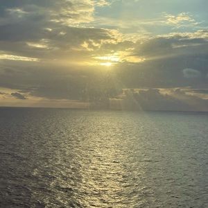 Meet your Posher, Nilvia